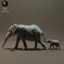 Animaldenminiatures50
