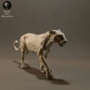 Animaldenminiatures56