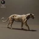 Animaldenminiatures57