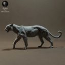 Animaldenminiatures58