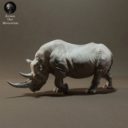 Animaldenminiatures59