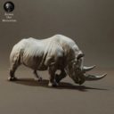 Animaldenminiatures60