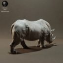 Animaldenminiatures61