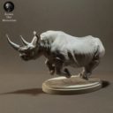 Animaldenminiatures63