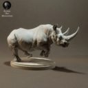 Animaldenminiatures64