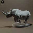 Animaldenminiatures66