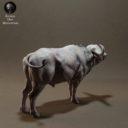 Animaldenminiatures68