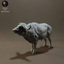 Animaldenminiatures70