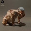 Animaldenminiatures8