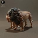 Animaldenminiatures9