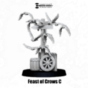 Feast Of Crows Set C