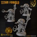 TF Titan Forged 19