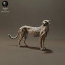 Animaldenminimar10