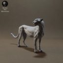 Animaldenminimar13