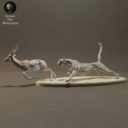 Animaldenminimar14
