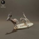 Animaldenminimar15