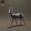 Animaldenminimar22