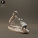 Animaldenminimar24