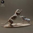 Animaldenminimar25