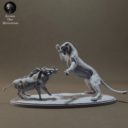 Animaldenminimar26