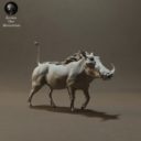 Animaldenminimar27