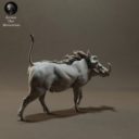 Animaldenminimar28