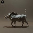 Animaldenminimar29