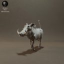 Animaldenminimar30