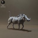 Animaldenminimar31