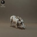 Animaldenminimar33