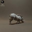 Animaldenminimar34
