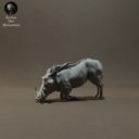 Animaldenminimar35