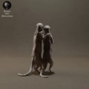 Animaldenminimar38