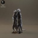 Animaldenminimar40
