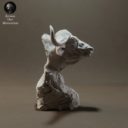 Animaldenminimar43