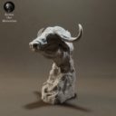 Animaldenminimar44