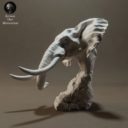 Animaldenminimar46