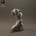 Animaldenminimar48