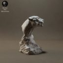 Animaldenminimar49
