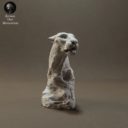 Animaldenminimar50