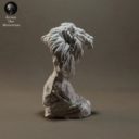 Animaldenminimar52