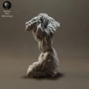 Animaldenminimar53