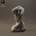 Animaldenminimar56