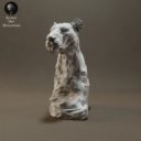 Animaldenminimar57