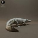 Animaldenminimar7