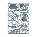 GW Armeeset Der Seraphon 13