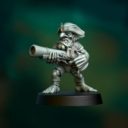 Punga Gnobla Pirate
