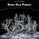 TLF The Lazy Forger Dark Oak Forest 1