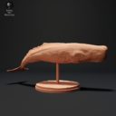ADM Juli Patreon 15