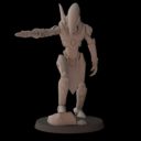 FC Juli Patreon 24